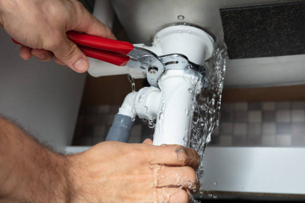 Best Local water damage restoration  in Johnsonburg, PA
