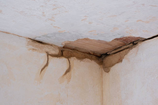 Best Sewage cleanup and water damage restoration  in Johnsonburg, PA