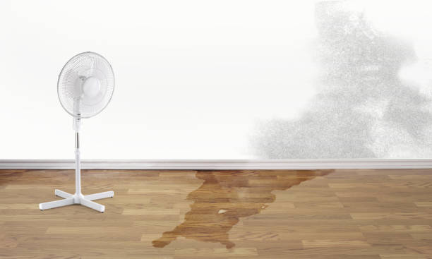 Best Ceiling water damage repair  in Johnsonburg, PA