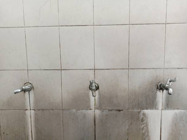 Best Ceiling water damage repair  in Johnsonburg, PA