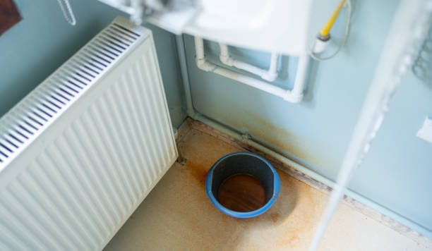 Best Ceiling water damage repair  in Johnsonburg, PA