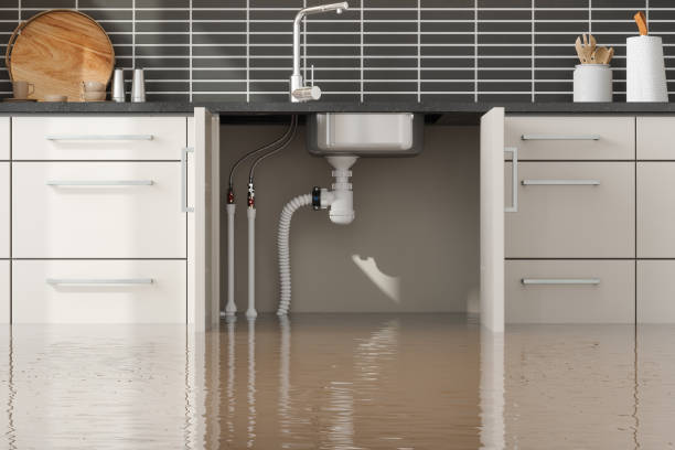 Best Water damage restoration near me  in Johnsonburg, PA