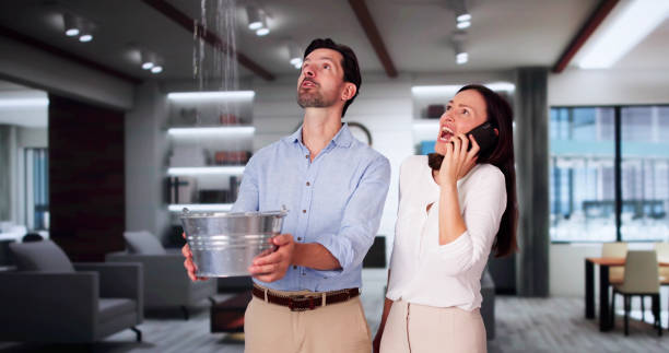 Best Basement water damage restoration  in Johnsonburg, PA