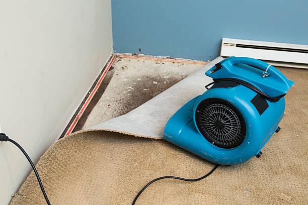 Best Emergency water damage restoration  in Johnsonburg, PA