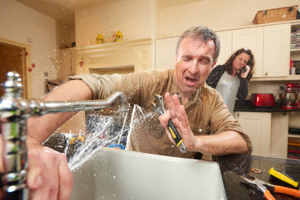 Best Water damage cleanup near me  in Johnsonburg, PA